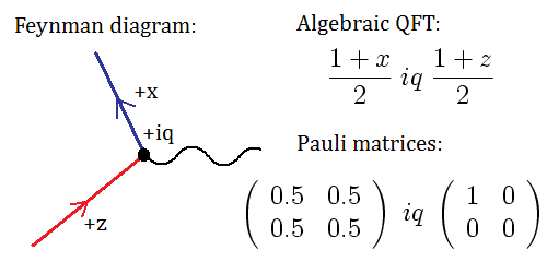 Snuark interaction in algebraic and Pauli algebra notation