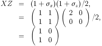 Z to X non Hermitian density matrix.