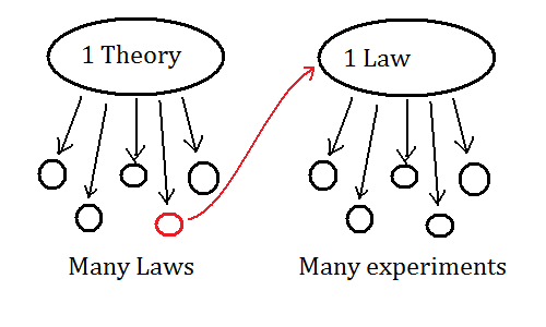 The relationship between theories, laws, and experiment